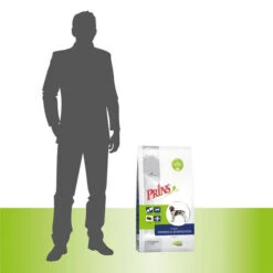 Prins ProCare Muskeln & Gelenke -KONG Verkaufsgeschäft prins procare spieren gewrichten 171985 0500 none