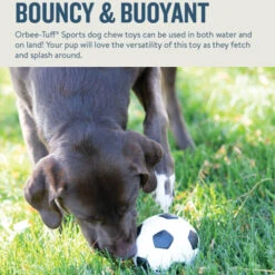 Planet Dog Orbee-Tuff Soccer Ball -KONG Verkaufsgeschäft prod 14590 203615 0500 none