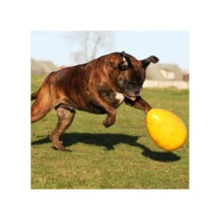 Jolly Egg 12 Jolly Egg -KONG Verkaufsgeschäft product jolly egg none 4 1496839893 86965