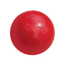KONG Ball -KONG Verkaufsgeschäft product kong ball none 4 1466058812 69915