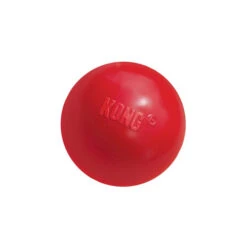 KONG Ball -KONG Verkaufsgeschäft product kong ball none 4 1466058813 69918