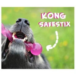 KONG Safestix 8 KONG Safestix -KONG Verkaufsgeschäft product kong safestix none 4 1458633926 66969