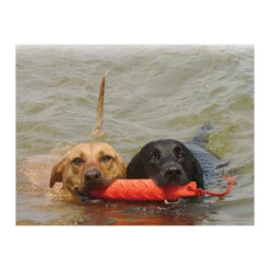 KONG Training Dummy -KONG Verkaufsgeschäft product kong training dummy none 4 1469627104 71971