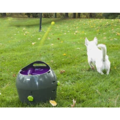 PetSafe Automatischer Ballwerfer -KONG Verkaufsgeschäft product petsafe ball launcher none 4 1472637635 77137