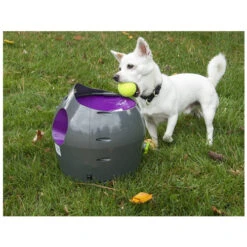 PetSafe Automatischer Ballwerfer -KONG Verkaufsgeschäft product petsafe ball launcher none 4 1472637636 77140