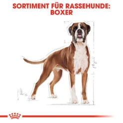 Royal Canin Boxer Adult - Hundefutter -KONG Verkaufsgeschäft royal canin boxer adult hondenvoer 137410 0500 none