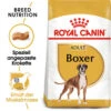 Royal Canin Boxer Adult - Hundefutter -KONG Verkaufsgeschäft royal canin boxer adult hondenvoer 137455 0500 none
