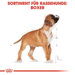 Royal Canin Boxer Puppy - Hundefutter -KONG Verkaufsgeschäft royal canin boxer puppy hondenvoer 137491 0500 none