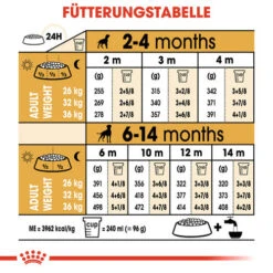 Royal Canin Boxer Puppy - Hundefutter -KONG Verkaufsgeschäft royal canin boxer puppy hondenvoer 137500 0500 none