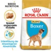 Royal Canin Boxer Puppy - Hundefutter -KONG Verkaufsgeschäft royal canin boxer puppy hondenvoer 140465 0500 none