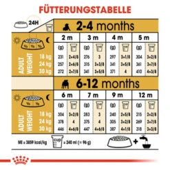 Royal Canin Bulldog Puppy - Hundefutter -KONG Verkaufsgeschäft royal canin bulldog puppy hondenvoer 137776 0500 none