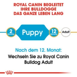 Royal Canin Bulldog Puppy - Hundefutter -KONG Verkaufsgeschäft royal canin bulldog puppy hondenvoer 137785 0500 none