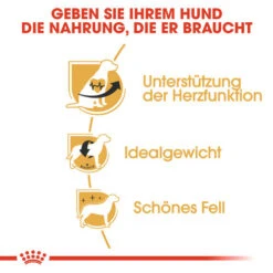 Royal Canin Cavalier King Charles Adult - Hundefutter -KONG Verkaufsgeschäft royal canin cavalier king charles adult hondenvoer 137869 0500 none