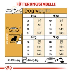 Royal Canin Cavalier King Charles Adult - Hundefutter -KONG Verkaufsgeschäft royal canin cavalier king charles adult hondenvoer 137884 0500 none
