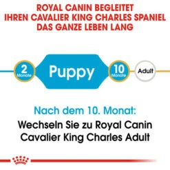 Royal Canin Cavalier King Charles Puppy - Hundefutter 15 Royal Canin Cavalier King Charles Puppy - Hundefutter -KONG Verkaufsgeschäft royal canin cavalier king charles puppy hondenvoer 137905 0500 none