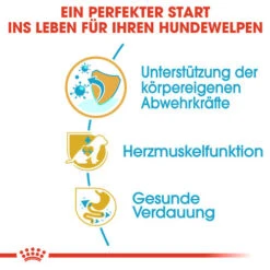 Royal Canin Cavalier King Charles Puppy - Hundefutter 12 Royal Canin Cavalier King Charles Puppy - Hundefutter -KONG Verkaufsgeschäft royal canin cavalier king charles puppy hondenvoer 137923 0500 none