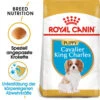 Royal Canin Cavalier King Charles Puppy - Hundefutter 1 Royal Canin Cavalier King Charles Puppy - Hundefutter -KONG Verkaufsgeschäft royal canin cavalier king charles puppy hondenvoer 142808 0500 none