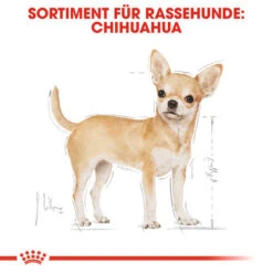 Royal Canin Chihuahua Adult - Hundefutter -KONG Verkaufsgeschäft royal canin chihuahua adult hondenvoer 137968 0500 none