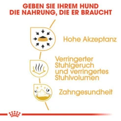 Royal Canin Chihuahua Adult - Hundefutter -KONG Verkaufsgeschäft royal canin chihuahua adult hondenvoer 137980 0500 none