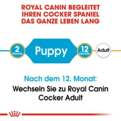 Royal Canin Cocker Puppy - Hundefutter 13 Royal Canin Cocker Puppy - Hundefutter -KONG Verkaufsgeschäft royal canin cocker puppy hondenvoer 138199 0500 none