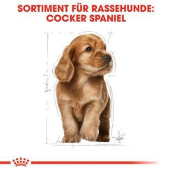 Royal Canin Cocker Puppy - Hundefutter 12 Royal Canin Cocker Puppy - Hundefutter -KONG Verkaufsgeschäft royal canin cocker puppy hondenvoer 138226 0500 none