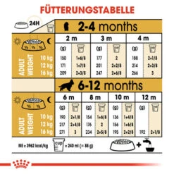 Royal Canin Cocker Puppy - Hundefutter 15 Royal Canin Cocker Puppy - Hundefutter -KONG Verkaufsgeschäft royal canin cocker puppy hondenvoer 138235 0500 none