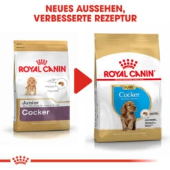 Royal Canin Cocker Puppy - Hundefutter 14 Royal Canin Cocker Puppy - Hundefutter -KONG Verkaufsgeschäft royal canin cocker puppy hondenvoer 138244 0500 none