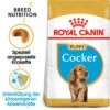 Royal Canin Cocker Puppy - Hundefutter 2 Royal Canin Cocker Puppy - Hundefutter -KONG Verkaufsgeschäft royal canin cocker puppy hondenvoer 140501 0500 none