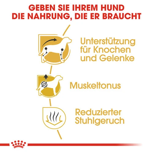 Royal Canin Dachshund Adult - Hundefutter 4 Royal Canin Dachshund Adult - Hundefutter – Bild 2