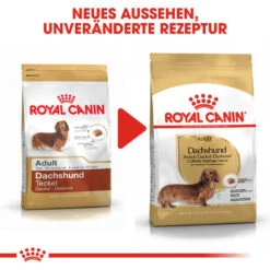 Royal Canin Dachshund Adult - Hundefutter 13 Royal Canin Dachshund Adult - Hundefutter -KONG Verkaufsgeschäft royal canin dachshund adult hondenvoer 138286 0500 none