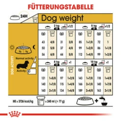 Royal Canin Dachshund Adult - Hundefutter 14 Royal Canin Dachshund Adult - Hundefutter -KONG Verkaufsgeschäft royal canin dachshund adult hondenvoer 138295 0500 none