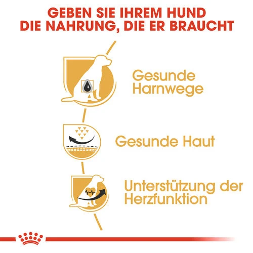 Royal Canin Dalmatian Adult - Hundefutter 4 Royal Canin Dalmatian Adult - Hundefutter – Bild 2