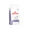 Royal Canin Dental Kleiner Hund 1 Royal Canin Dental Kleiner Hund -KONG Verkaufsgeschäft royal canin dental kleine hond 217737 0500 none