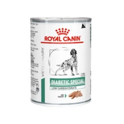 Royal Canin Diabetic Hund -KONG Verkaufsgeschäft royal canin diabetic hond 145148 0500 none