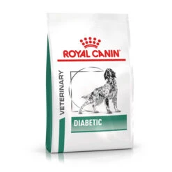 Royal Canin Diabetic Hund -KONG Verkaufsgeschäft royal canin diabetic hond 156788 0500 none