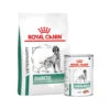 Royal Canin Diabetic Hund -KONG Verkaufsgeschäft royal canin diabetic hond 188653 0500 none