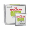 Royal Canin Educ Hund -KONG Verkaufsgeschäft royal canin educ hond 215813 0500 none