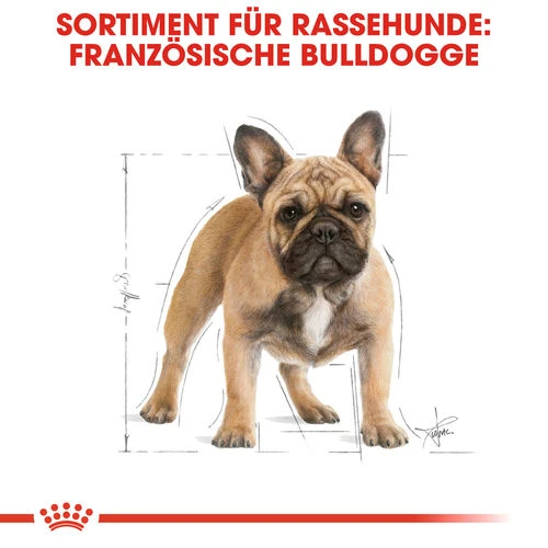 Royal Canin French Bulldog Adult - Hundefutter 6 Royal Canin French Bulldog Adult - Hundefutter – Bild 4