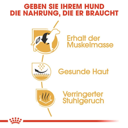 Royal Canin French Bulldog Adult - Hundefutter 4 Royal Canin French Bulldog Adult - Hundefutter – Bild 2