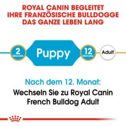 Royal Canin French Bulldog Puppy - Hundefutter -KONG Verkaufsgeschäft royal canin french bulldog puppy hondenvoer 138691 0500 none