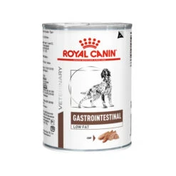 Royal Canin Gastrointestinal Low Fat Hund -KONG Verkaufsgeschäft royal canin gastro intestinal low fat hond 159572 0500 none
