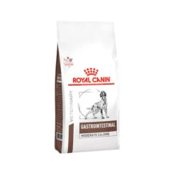 Royal Canin Gastrointestinal Moderate Calorie Hund