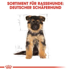 Royal Canin German Shepherd Puppy - Hundefutter 13 Royal Canin German Shepherd Puppy - Hundefutter -KONG Verkaufsgeschäft royal canin german shepherd puppy hondenvoer 138838 0500 none
