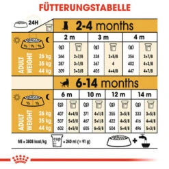 Royal Canin German Shepherd Puppy - Hundefutter 16 Royal Canin German Shepherd Puppy - Hundefutter -KONG Verkaufsgeschäft royal canin german shepherd puppy hondenvoer 138847 0500 none