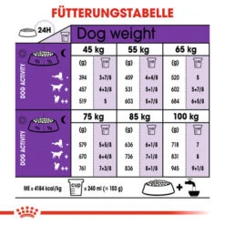 Royal Canin Giant Adult - Hundefutter 15 Royal Canin Giant Adult - Hundefutter -KONG Verkaufsgeschäft royal canin giant adult hondenvoer 128360 0500 none