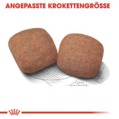 Royal Canin Giant Adult - Hundefutter 13 Royal Canin Giant Adult - Hundefutter -KONG Verkaufsgeschäft royal canin giant adult hondenvoer 128393 0500 none