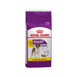 Royal Canin Giant Adult - Hundefutter 10 Royal Canin Giant Adult - Hundefutter -KONG Verkaufsgeschäft royal canin giant adult hondenvoer 144488 0500 none
