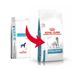 Royal Canin Hypoallergenic Hund -KONG Verkaufsgeschäft royal canin hypoallergenic hond 135643 0500 none