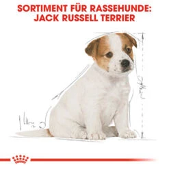 Royal Canin Jack Russell Terrier Puppy - Hundefutter -KONG Verkaufsgeschäft royal canin jack russell terrier puppy hondenvoer 139318 0500 none