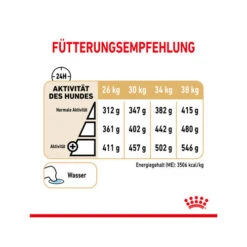 Royal Canin Labrador Retriever Adult 5+ -KONG Verkaufsgeschäft royal canin labrador retriever adult 5 165172 0500 none